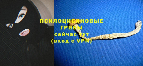 сатива Алексин