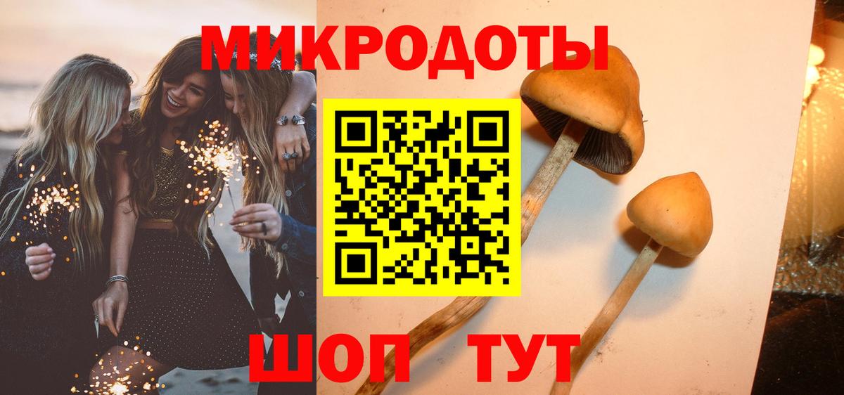 Асино  Псилоцибиновые грибы ЛСД  Вход с VPN  Галлюциногенные грибы мицелий 