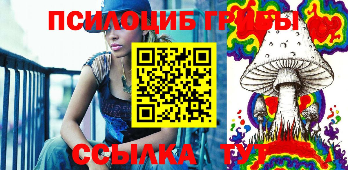 Псилоцибиновые грибы прущие грибы Асино